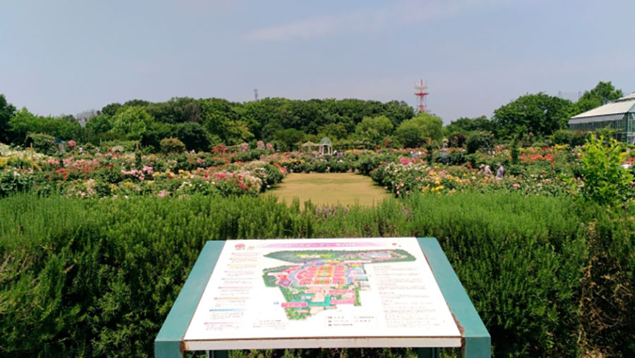 京成バラ園マップ
